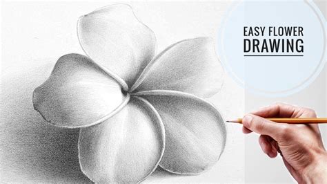 How To Draw Flowers With Pencil Step By Best Flower Site