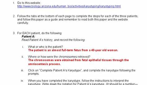 karyotyping worksheets answer key