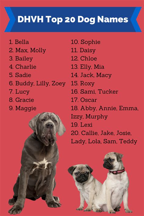 I assume that you have a french breed dog like briard, poodle, dogue de bordeaux, and french bulldog then you have so many names to choose from below list. I love My Dog; Natural Pet Health,: Popular English ...