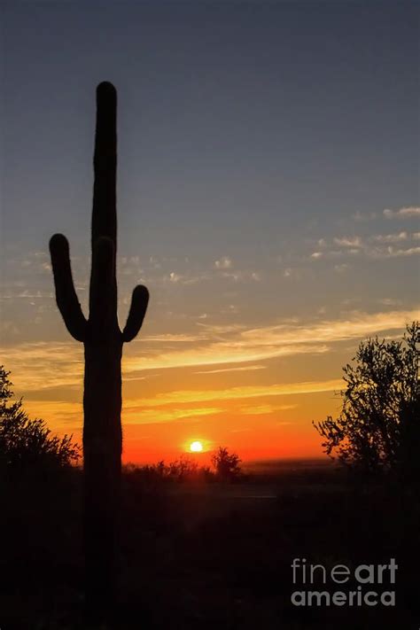 Desert Daybreak By Amy Sorvillo Beautiful Nature Beautiful Art