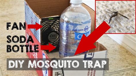 Diy Mosquito Trap That Actually Catches Mosquitoes Youtube