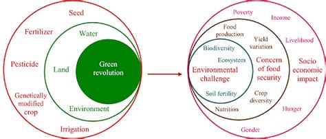 Impact Of Green Revolution Agriculture Notes