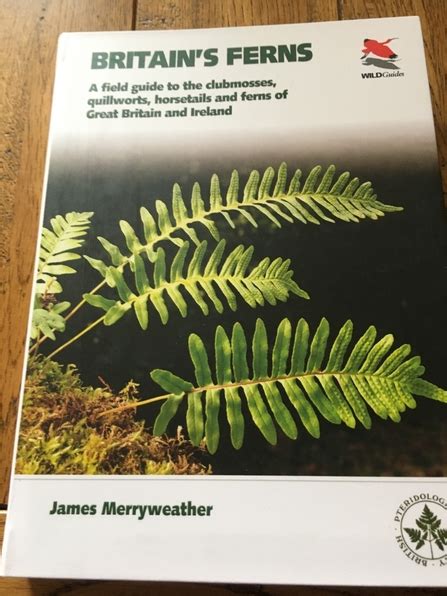 Britains Ferns The Wildlife Trust For Lancashire Manchester And