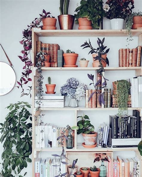 Bookshelf With Plants Decor Bookshelf Decor Home Decor