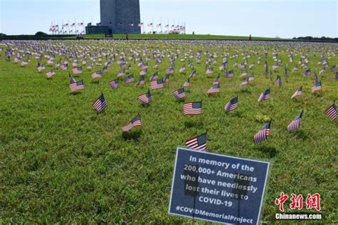 Each of the stripes represents one year. 印度新冠确诊病例近600万 多国疫情反弹或加强封锁 _光明网