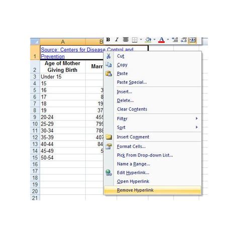 How To Add And Remove Hyperlinks In Microsoft Excel 2007