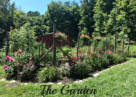 Garden Update July Edition Farm Fresh For Life Real Food For