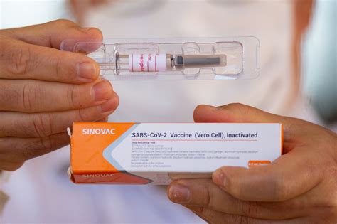 Последние твиты от sinovac biotech (@sinovac). Six millions de doses du vaccin chinois Sinovac arrivent ...