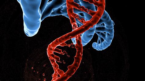 Sars can also be spread indirectly via surfaces that have been touched by someone who is infected with the virus. As SARS-CoV-2 Virus Evolves, Genomic Data Should Be Collected Alongside Patient and Public ...