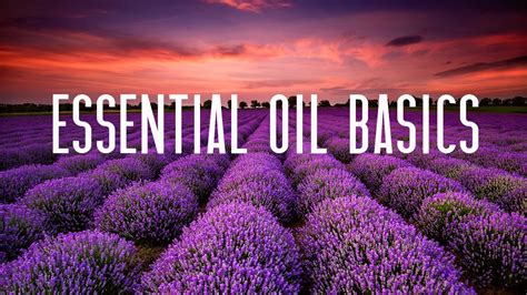 Young Living Essential Oils Basics Class Youtube