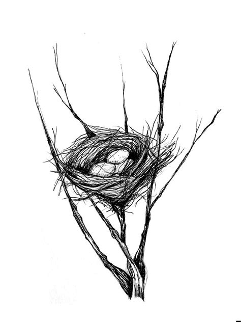 Bird Nest Ink Drawing Art Print By Cori Hederich Nest Art Bird Nest