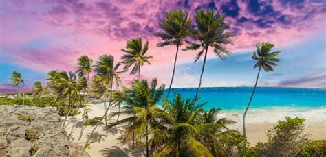 Panoramic Photo Of Sunset Over Bottom Bay Beach In Barbados Stock Image