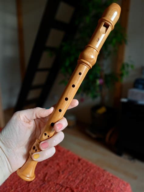 Ive Bought My First Wooden Recorder Ever The Sound And Dynamics Oh