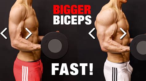 How To Build Bigger Biceps Muscles Fast Brands On Vine