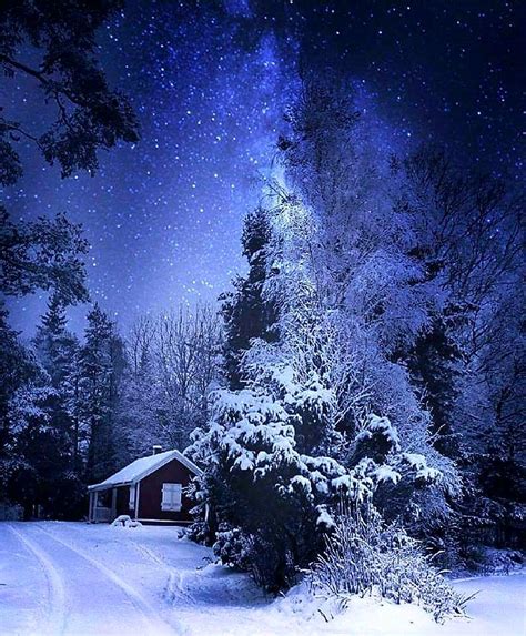 Halden Norway Beautiful Winter Scenes Winter Scenes Winter Pictures