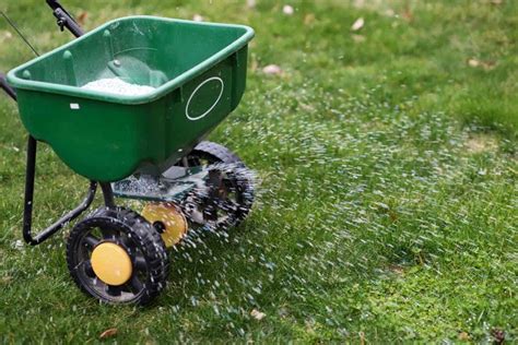 How To Apply 13 13 13 Fertilizer To Your Lawn The Right Way