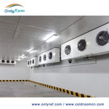 Large Capacity Good Quality Cold Storage Room For Frozen Beef Meat