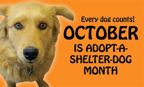 Montgomery County Animal Care And Control Reminds Everyone That October