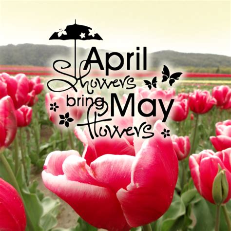Sorrow was not meant to stay, just to come and go away tho' it finds us all some day, still you'll surely see: April Showers Bring May Flowers :: Quotes :: MyNiceProfile.com