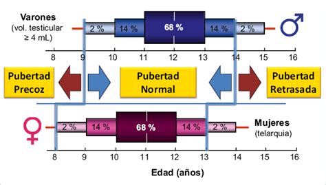 Etapa De La Pubertad Etapas Del Desarrollo Humano Sexiz Pix