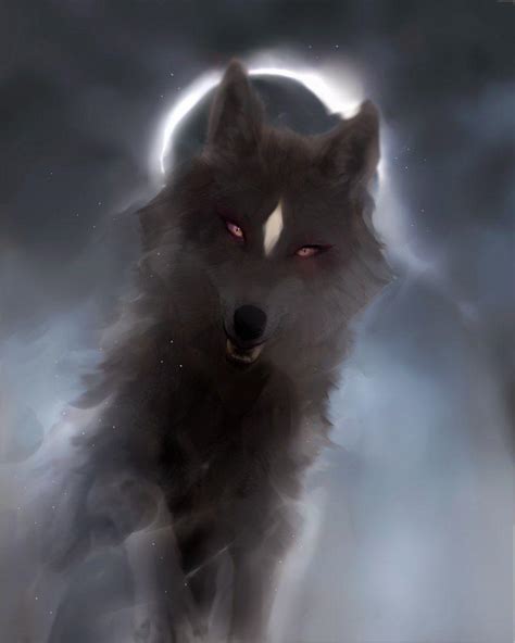 Shadow Wolf Wallpapers Top Free Shadow Wolf Backgrounds Wallpaperaccess