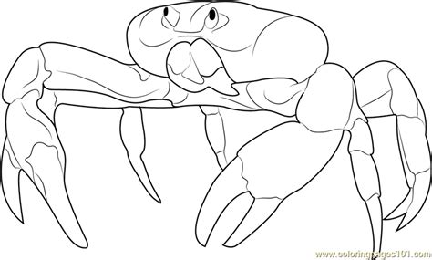 For boys and girls, kids and adults, teenagers and toddlers, preschoolers and older kids at school. Angry Crab Coloring Page - Free Crab Coloring Pages ...