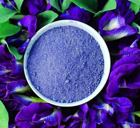A.good health of the brain,increase in high level of acetylcholine reasonable and affordable price bunga telang(butterfly pea flower) in no.1 online store natural food coloring for baking in malaysia,our product 100. Organic Blue Butterfly Pea Flower Powder Natural Food