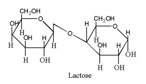 Lactose Structure Properties Applications Benefits Disadvantages