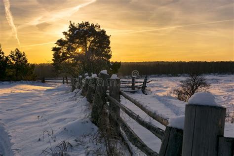 Fence On A Snow Covered Field At Sunset Stock Photo Image Of Frosty