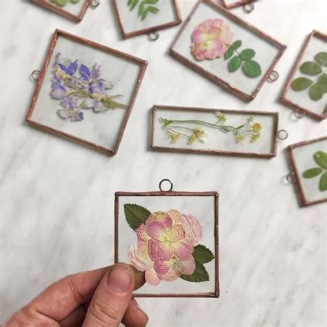 Set Of 9 Copper Frames With Pressed Flowers Framed Herbarium Pressed