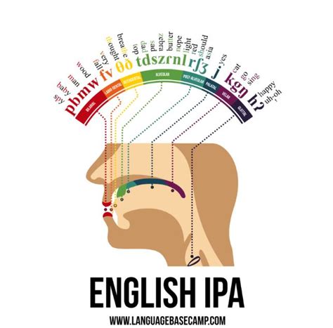 The english alphabet has 26 letters. Improving Your Pronunciation With A Phonemic Chart ...