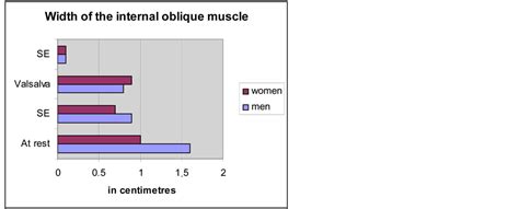 Diagram of male groin area / groin pain: The Groin Physiology Revisited