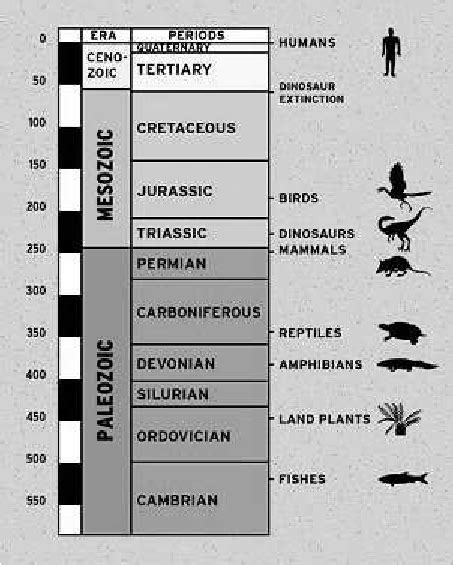 The Great Eras Of The Evolution Of Life Download Scientific Diagram