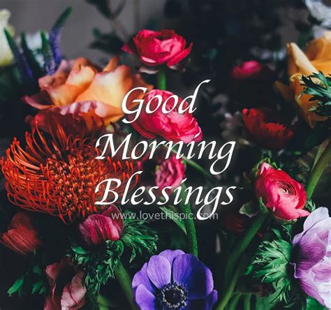 Assorted Flowers Good Morning Blessings Pictures Photos And Images