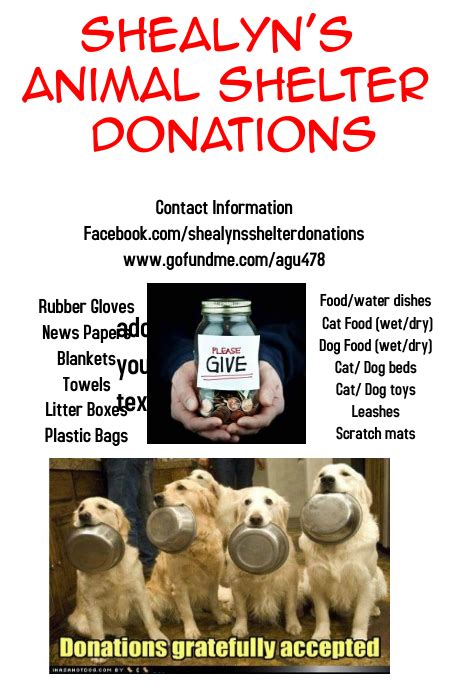 Animal Shelter Donations Template Postermywall