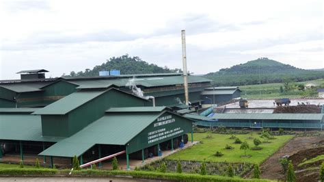 Lowongan kerja terbaru di magetan. Daftar Pabrik Kelapa Sawit Di Kalimantan Barat - Daftar Ini