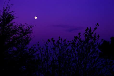 Moon In Purple Sky Flickr Photo Sharing