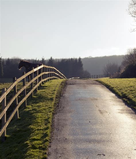 1366x1600 Horse Fence Road 1366x1600 Resolution Wallpaper Hd Nature