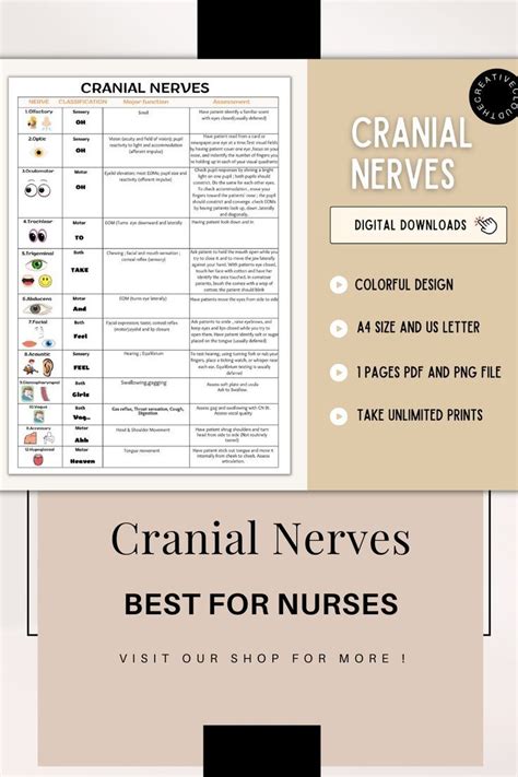 Cranial Nerves Cranial Nerves Sheet Cranial Nerves Nursing Cheat Sheet Nursing Fundamentals