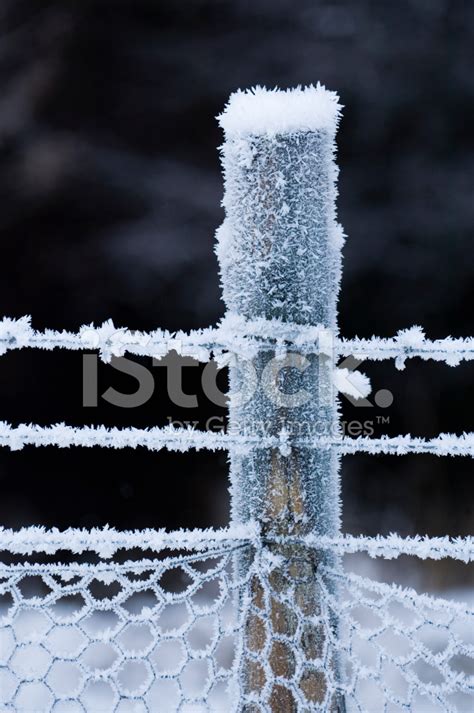 Heavy Frost On Fence Post Stock Photo Royalty Free Freeimages