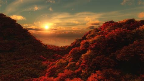 Nature Landscape Trees Forest Sun Fall Clouds Hills