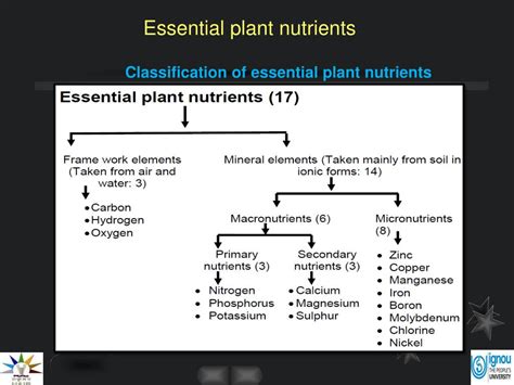 Ppt Essential Plant Nutrients Powerpoint Presentation Free Download