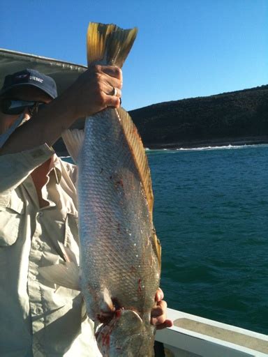 Kalbarri Aussy Day Weekend Fishing Fishing Wa