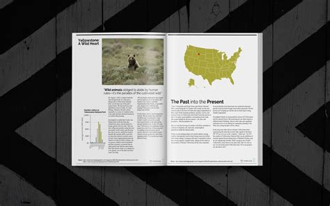 Our white paper design process. 20+ Page-Turning White Paper Examples [Design Guide + Tips ...