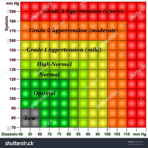 Blood Pressure Chart Royalty Free Stock Vector 796872802
