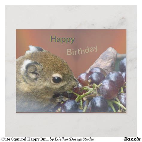 Cute Squirrel Happy Birthday Postcard In 2022 Cute