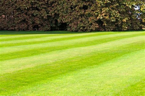 Lawn Maintenance, Landscaping, Hardscaping & Irrigation | Rome, GA