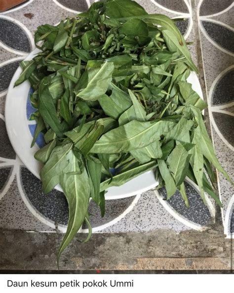 Setelah wangi masukkan air asam, aduk sebentar. Rupanya Nak Buat Asam Pedas Sedap Ada Petuanya. Ikuti Cara ...