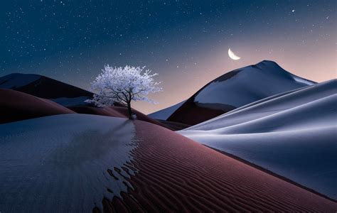 The Tree In Dune Wallpaper Hd Artist 4k Wallpapers Images Photos And