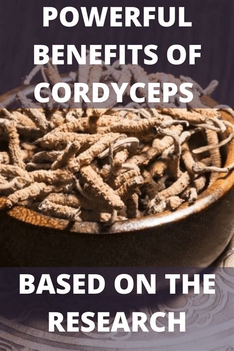 Powerful Benefits Of Cordyceps Based On The Research